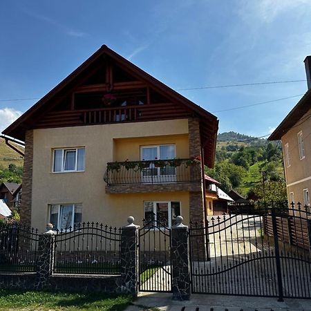 Pensiunea Dorina Botiza Exterior photo