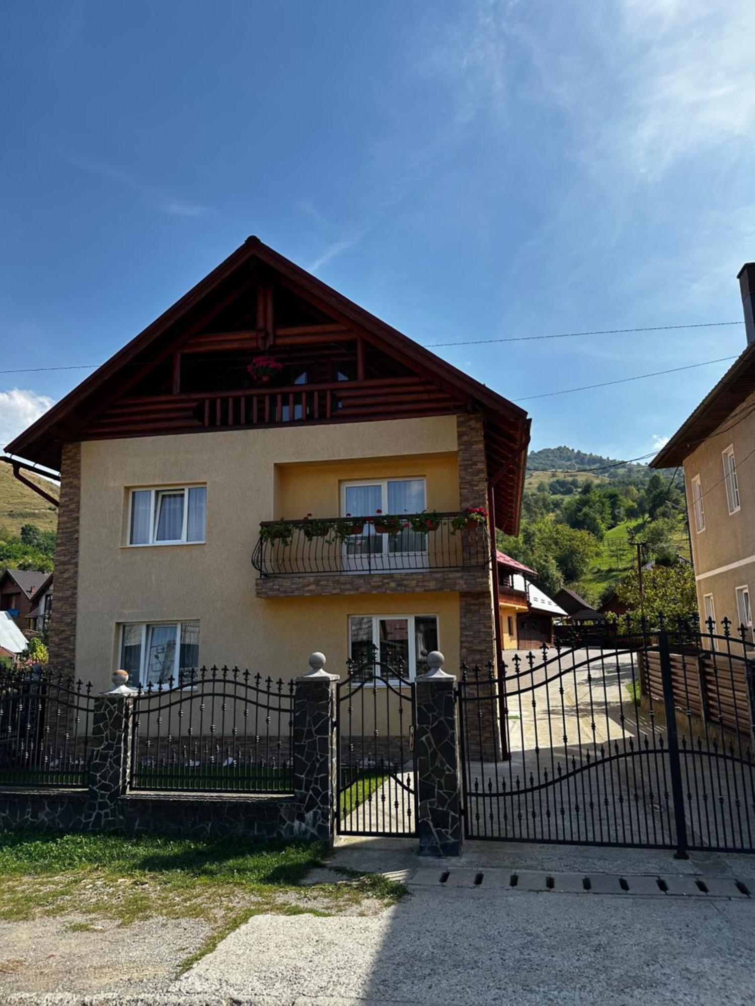 Pensiunea Dorina Botiza Exterior photo