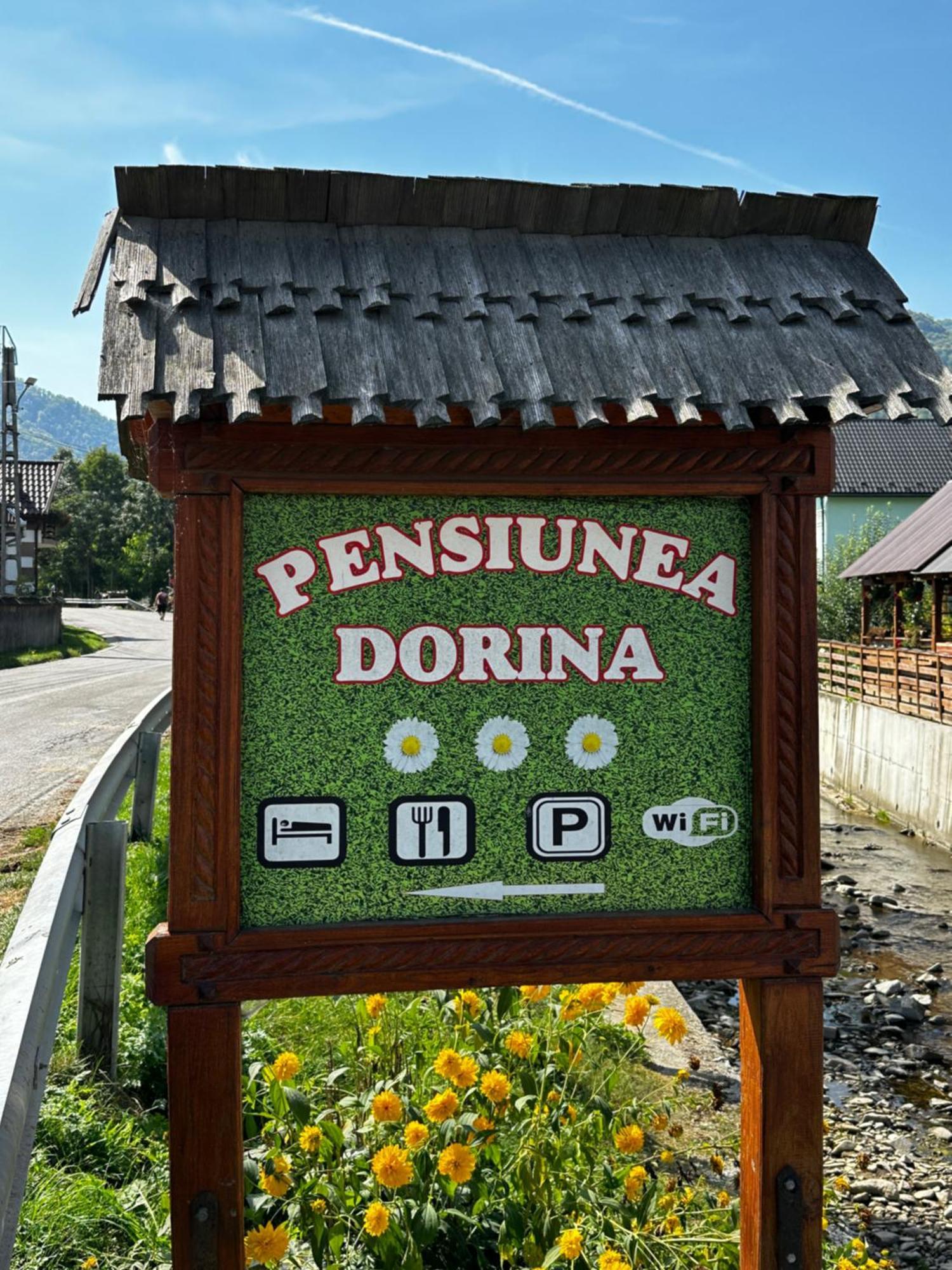 Pensiunea Dorina Botiza Exterior photo