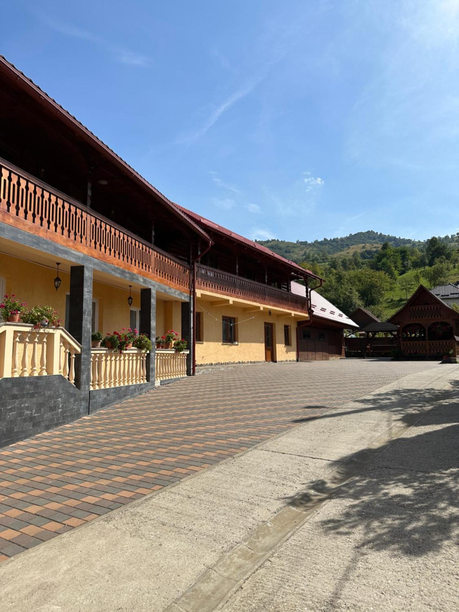 Pensiunea Dorina Botiza Exterior photo